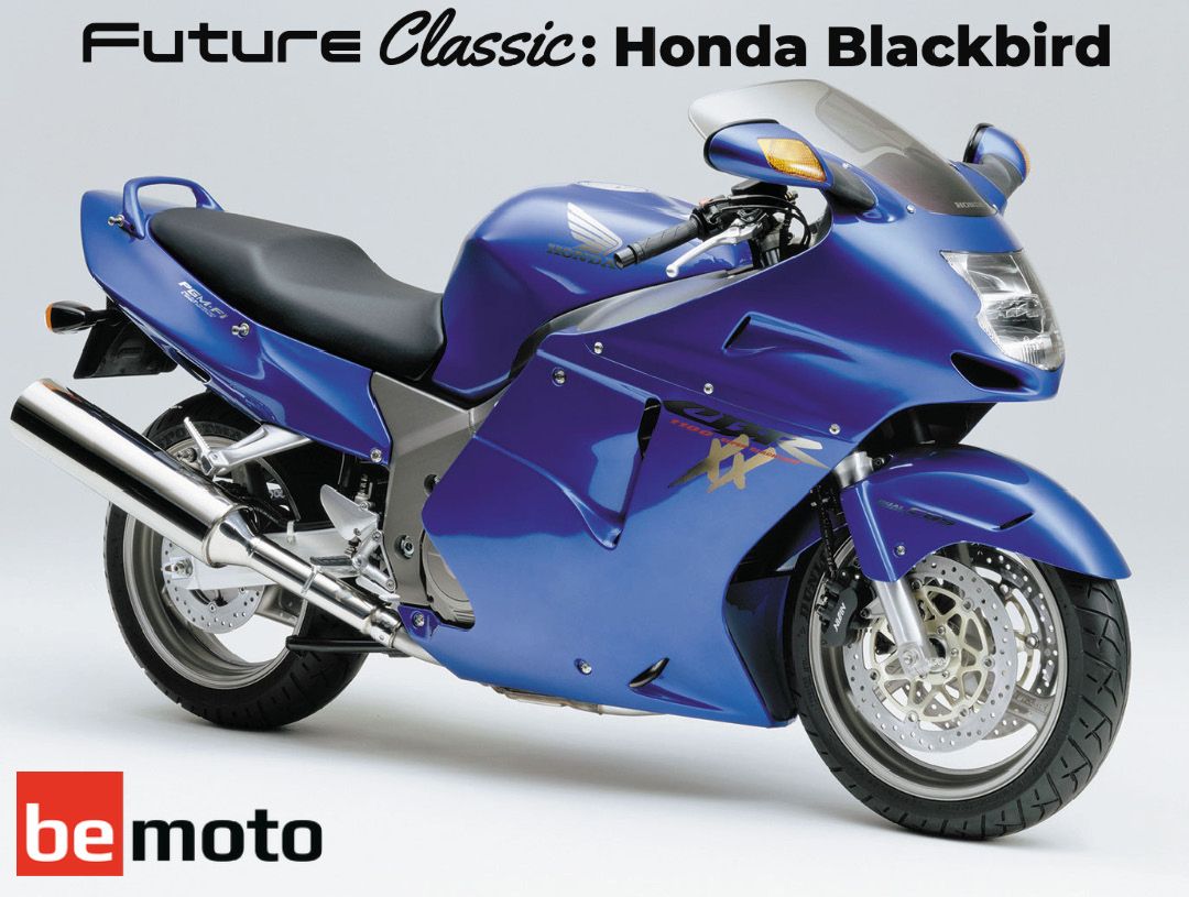 vervolging Uitdrukkelijk Scully Future Classic: Honda CBR1100XX Super Blackbird buyers guide | BeMoto